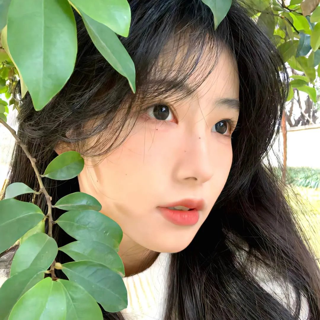 纯情罗曼史第三季